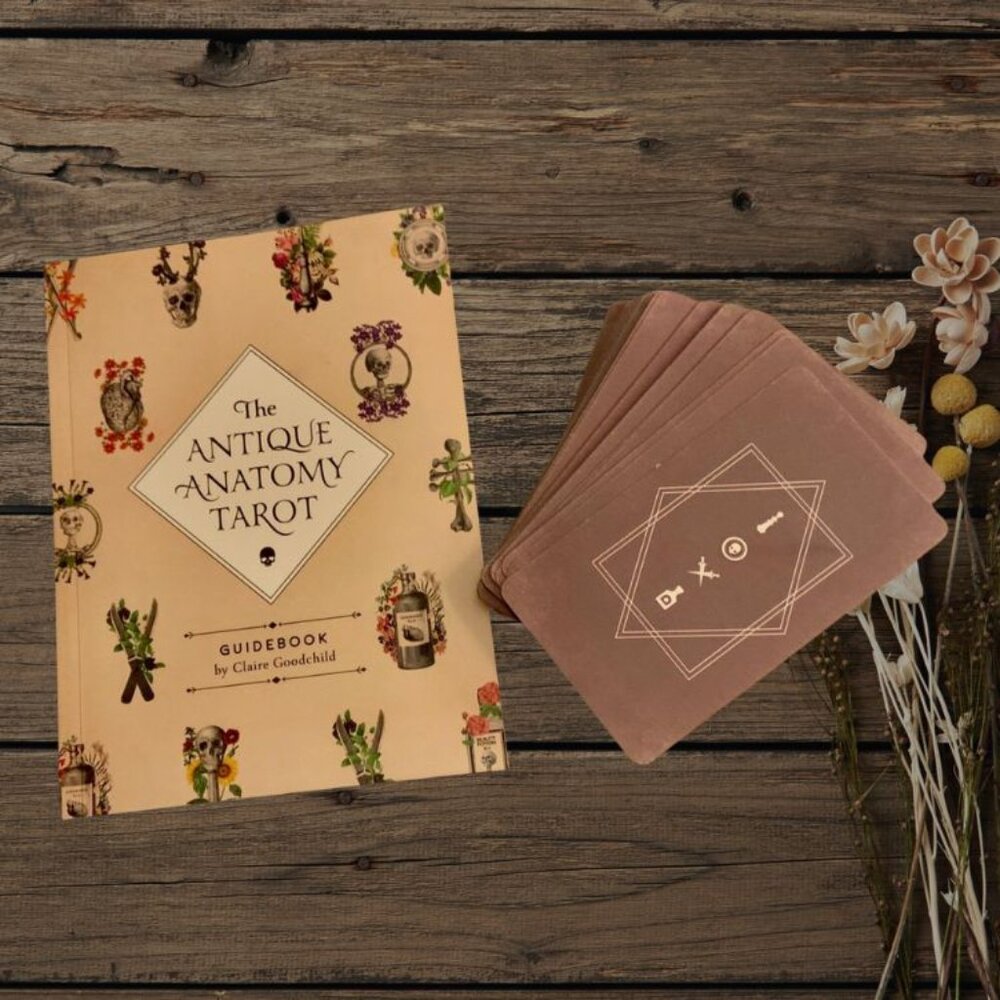 Antique Anatomy Tarot Deck | 78-Card Tarot with Guidebook | Gift Ready - Picture 16 of 16